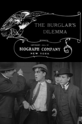 Subtitrare  The Burglar's Dilemma DVDRIP
