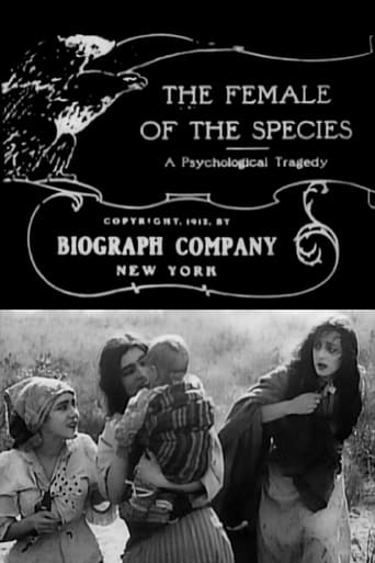 Subtitrare  The Female of the Species DVDRIP