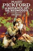 Subtitrare  A Romance of the Redwoods