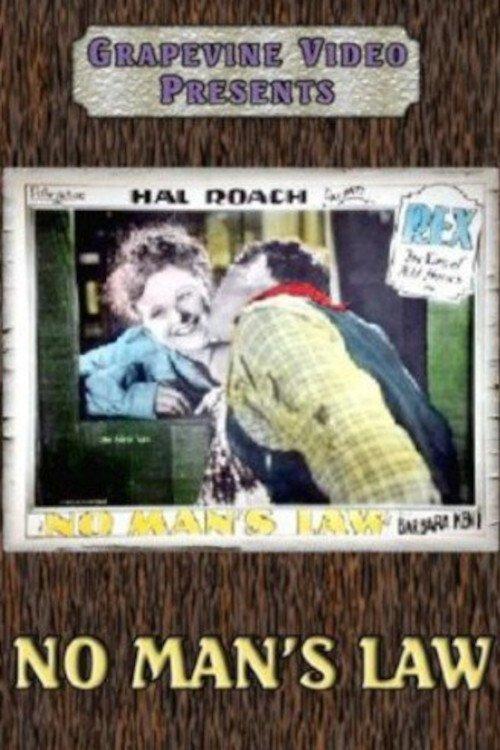 Subtitrare  No Man's Law (The Avenging Stallion aka Wild Beauty) DVDRIP