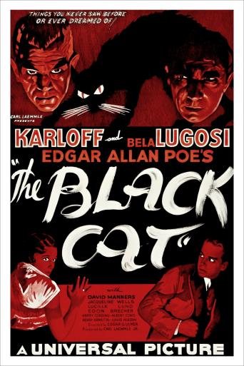 Subtitrare The Black Cat