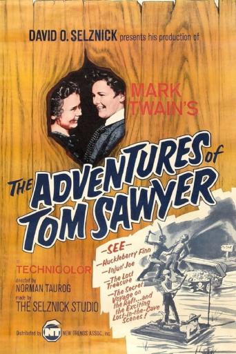 Subtitrare  The Adventures of Tom Sawyer