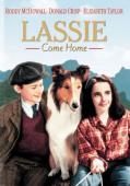 Subtitrare  Lassie Come Home