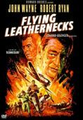 Subtitrare Flying Leathernecks (Devil Dogs of the Air)