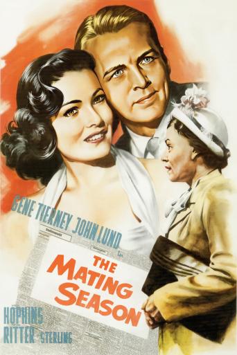 Subtitrare  The Mating Season (A Relative Stranger) DVDRIP