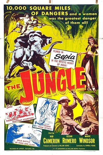 Subtitrare  The Jungle