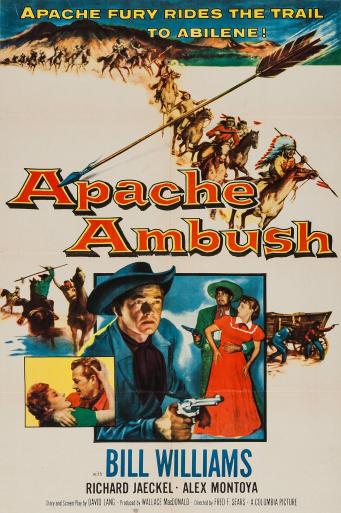 Subtitrare  Apache Ambush (Renegade Roundup)