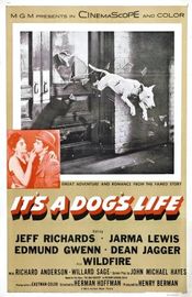 Subtitrare  It's a Dog's Life