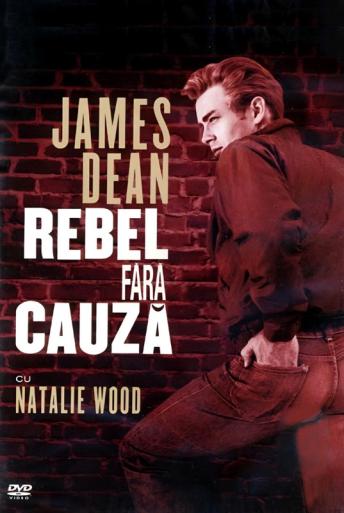 Subtitrare  Rebel Without a Cause DVDRIP