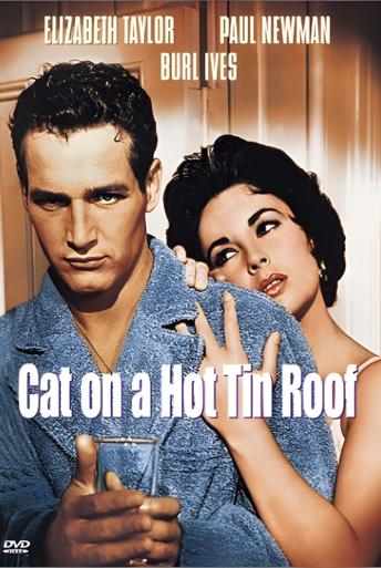 Subtitrare  Cat on a Hot Tin Roof DVDRIP XVID