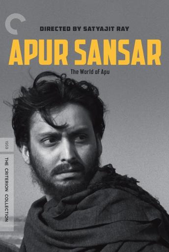 Subtitrare Apur Sansar (Apu Trilogy 3 - The World of Apu)