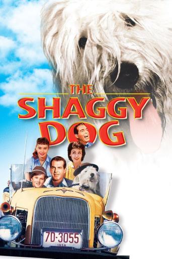 Subtitrare The Shaggy Dog
