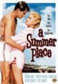 Subtitrare A Summer Place