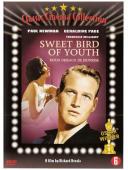 Subtitrare  Sweet Bird of Youth DVDRIP