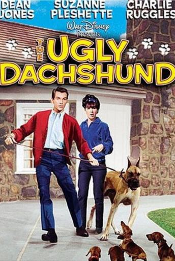 Subtitrare The Ugly Dachshund