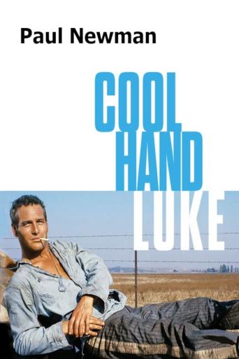 Subtitrare Cool Hand Luke
