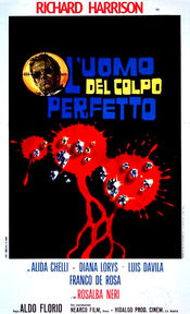 Subtitrare  L'uomo del colpo perfetto
