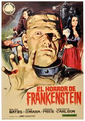 Subtitrare  The Horror of Frankenstein