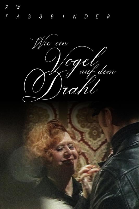 Subtitrare  Wie ein Vogel auf dem Draht (Like a Bird on a Wire) DVDRIP