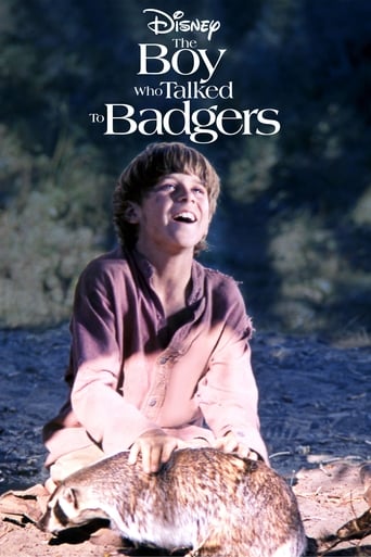 Subtitrare The Boy Who Talked to Badgers