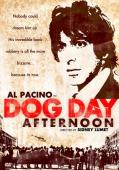 Subtitrare Dog Day Afternoon