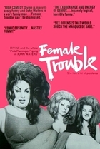 Subtitrare Female Trouble (1974)