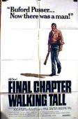 Subtitrare Final Chapter: Walking Tall