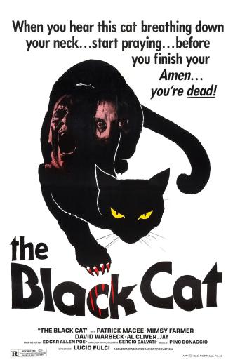 Subtitrare Black Cat (Gatto nero)