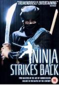 Subtitrare  The Ninja Strikes Back 
