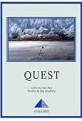 Subtitrare  Quest
