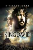 Subtitrare  King David HD 720p 1080p XVID