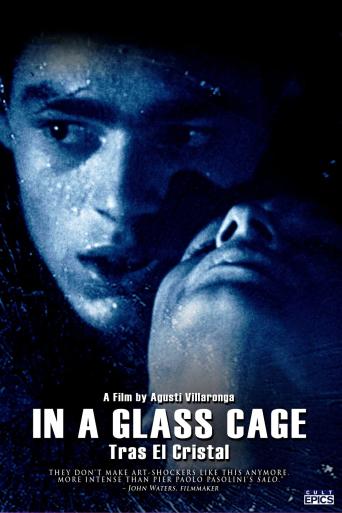 Subtitrare  In a Glass Cage (Tras el cristal)