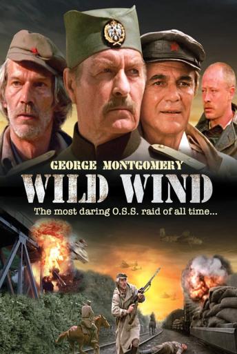 Subtitrare Wild Wind (Dikiy veter)