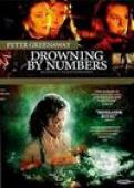 Subtitrare  Drowning by Numbers HD 720p