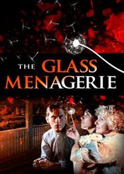 Subtitrare The Glass Menagerie