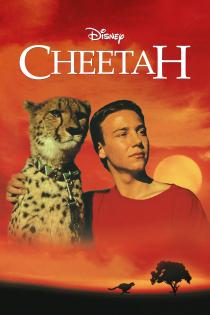Subtitrare Cheetah