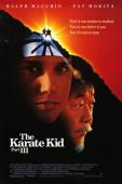 Subtitrare The Karate Kid, Part III