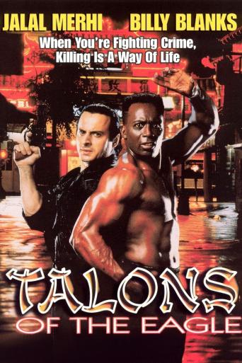 Subtitrare  Talons of the Eagle DVDRIP