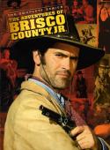 Subtitrare The Adventures of Brisco County Jr.