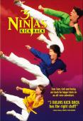 Subtitrare 3 Ninjas Kick Back 