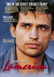 Subtitrare  Lamerica DVDRIP XVID