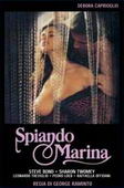 Subtitrare Spiando Marina (The Smile of the Fox)