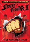 Subtitrare  Street Fighter II: The Animated Movie