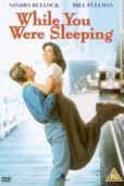 Subtitrare  While You Were Sleeping XVID