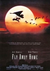 Subtitrare Fly Away Home