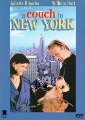 Subtitrare Un divan a New York (A Couch in New York)