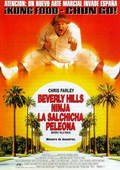 Subtitrare  Beverly Hills Ninja DVDRIP
