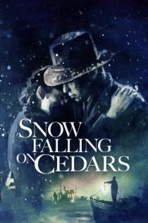 Subtitrare  Snow Falling on Cedars HD 720p 1080p XVID