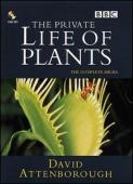 Subtitrare  The Private Life of Plants - Sezonul 1