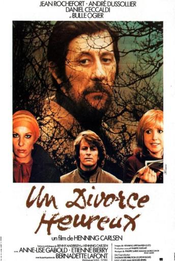 Subtitrare  A Happy Divorce (Un divorce heureux)